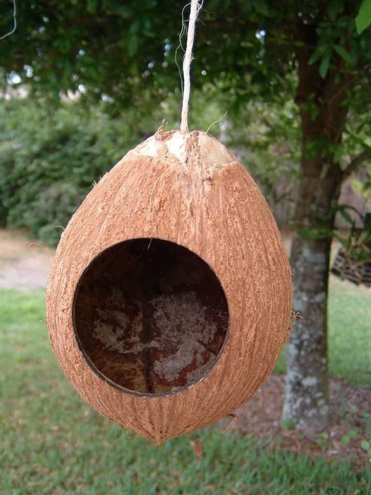Gambar kerajinan dari batok kelapa kandang burung