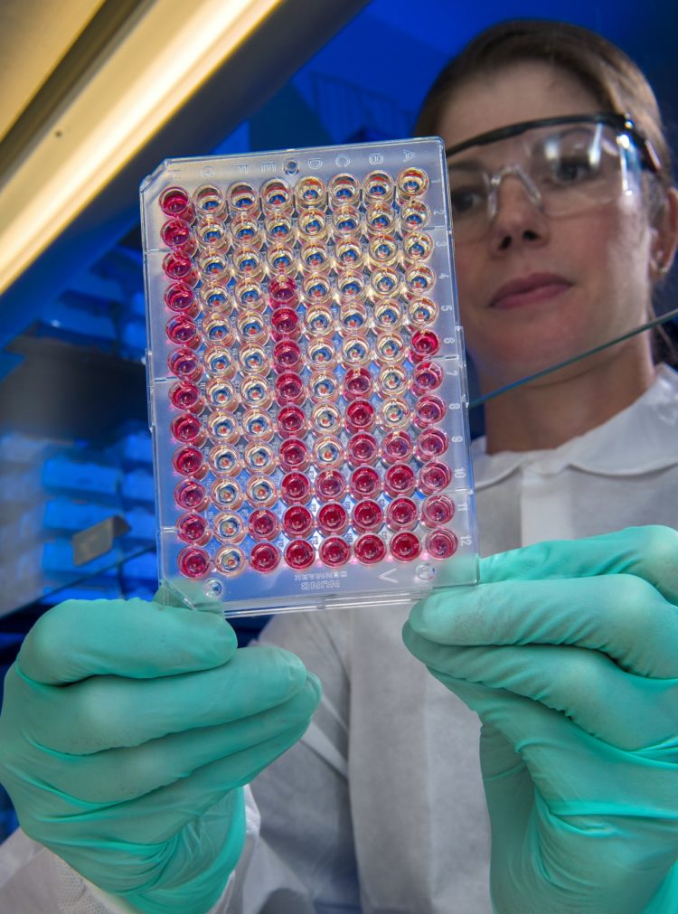 analisis DNA menjadi salah satu teknik dan pengertian dalam bioteknologi modern