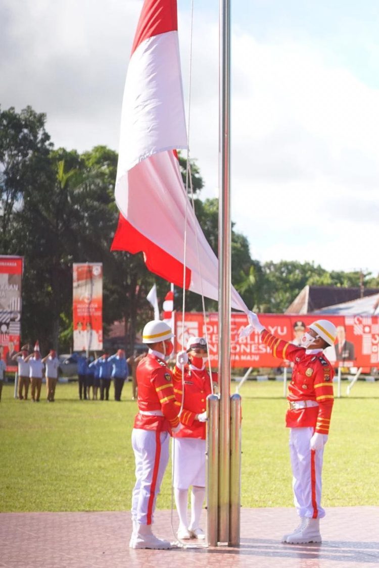 pengertian nasionalisme dan berbagai bentuk nasionalisme