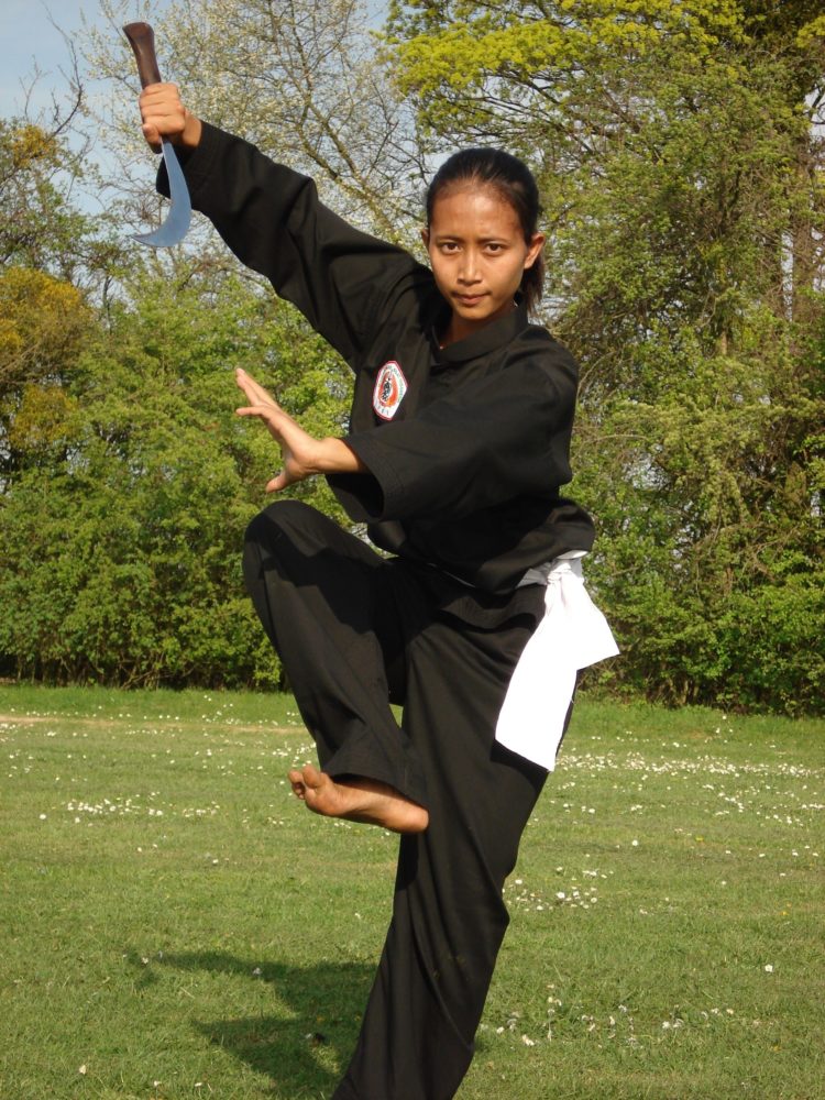 pengertian pencak silat karakteristik