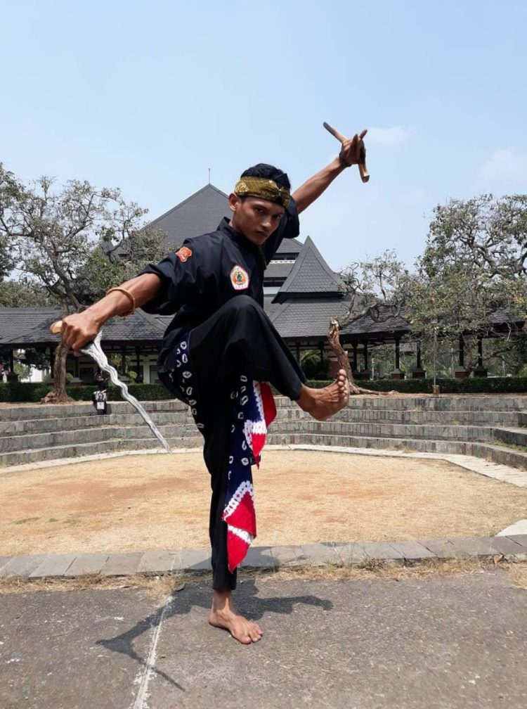 pengertian pencak silat properti