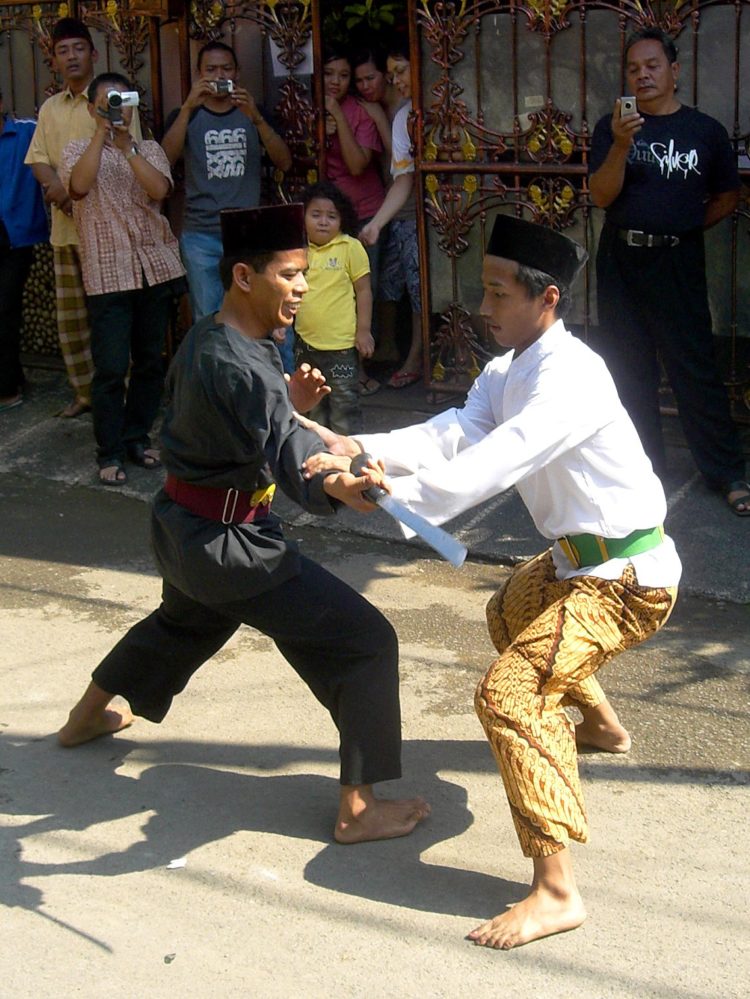 pengertian pencak silat tingkat kemahiran