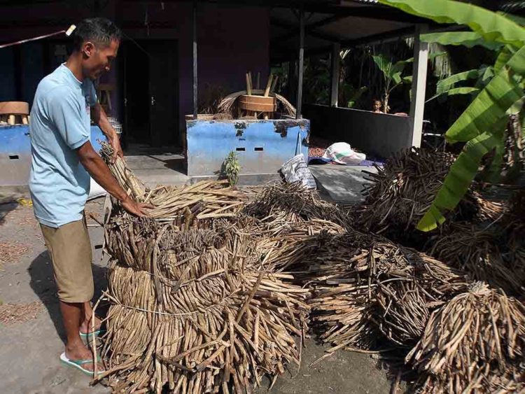 pengertian serat enceng gondok dan penggunaanya