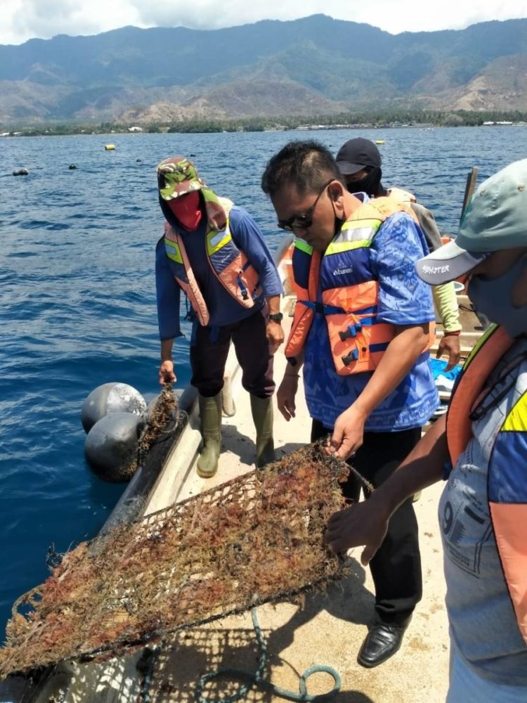 pengertian sumber daya alam ekonomis membutuhkan pengorbanan biaya dan waktu