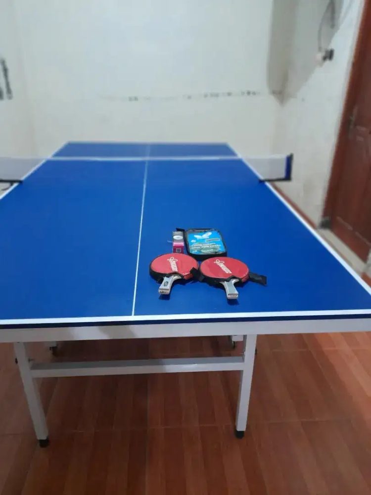 pengertian tenis meja lapangan