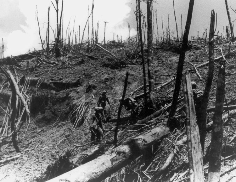 perang vietnam pertempuran di bukit hamburger