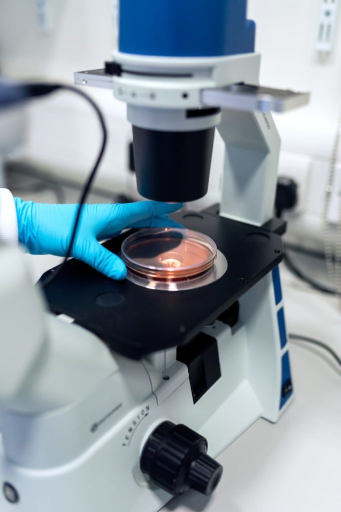 pengertian-bioteknologi-dampak-contoh-manfaat-jenis-dll
