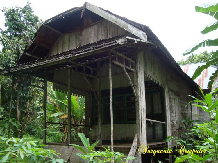 Contoh Rumah Adat Kalimantan Selatan Rumah Gajah Manyusu