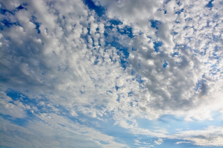 gambar jenis awan altocumulus
