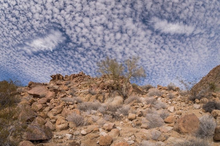 gambar jenis awan cirrocumulus