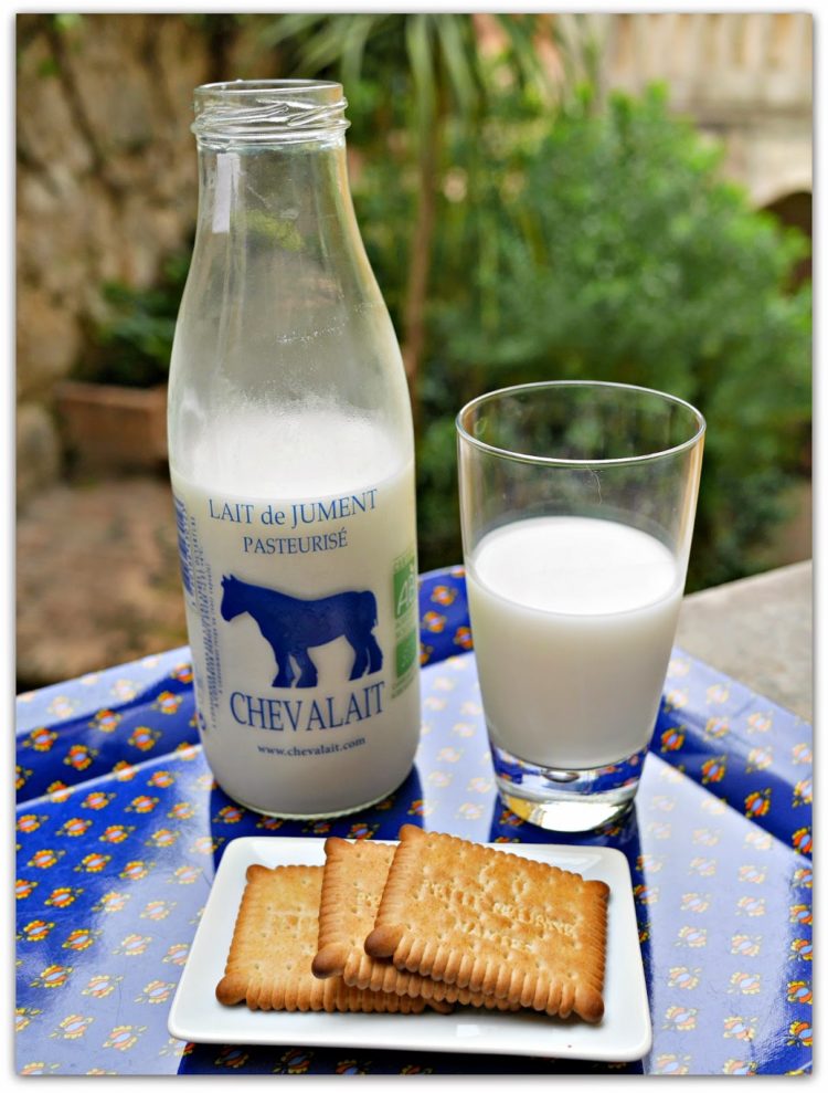 gambar jenis susu kuda