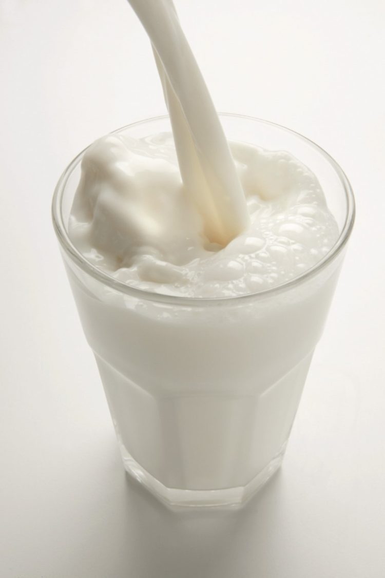gambar jenis susu kurang lemak