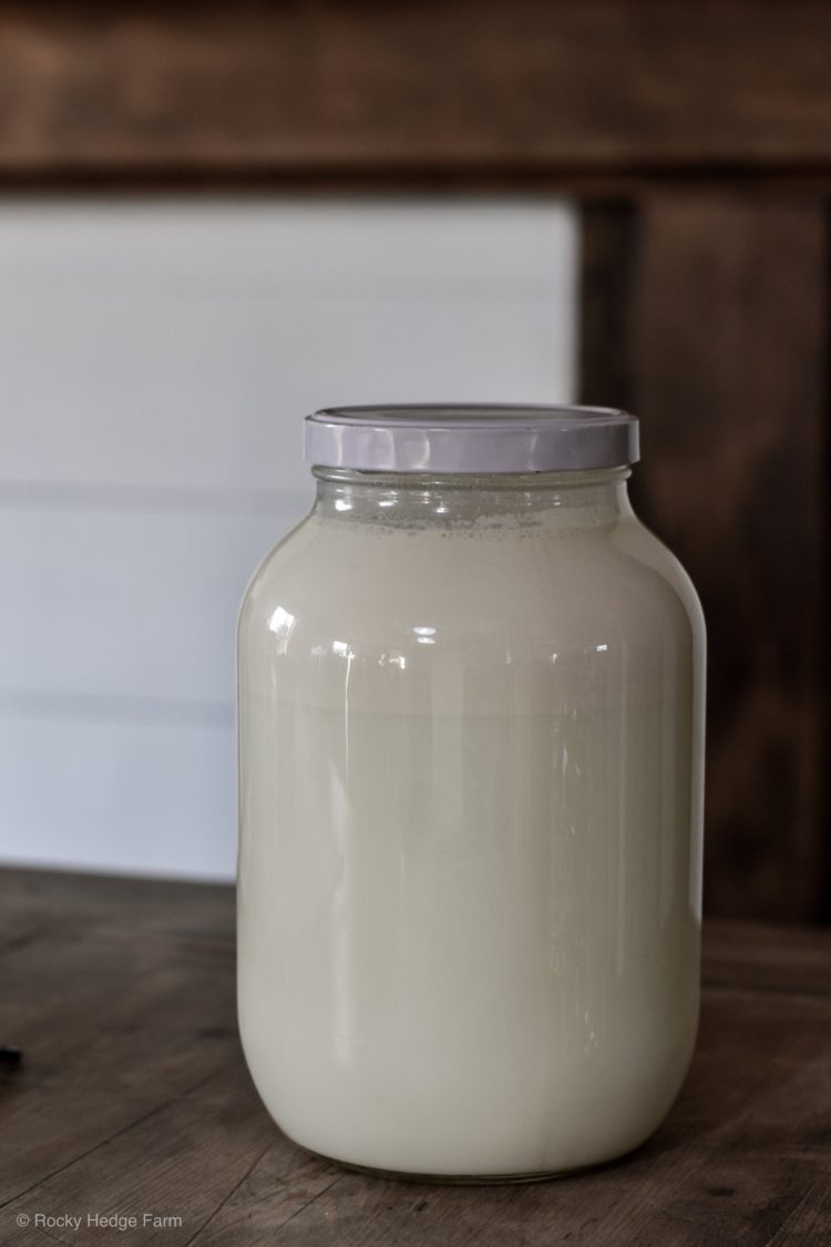 gambar jenis susu mentah