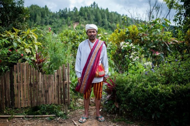 gambar pakaian adat sulawesi barat tana' bulawan