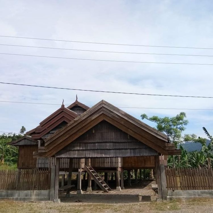 gambar rumah adat sulawesi lempo gandeng