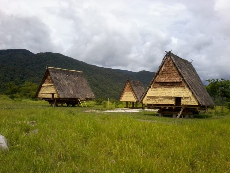 rumah adat sulawesi tengah tambi