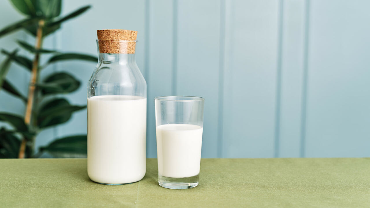 gambar jenis susu